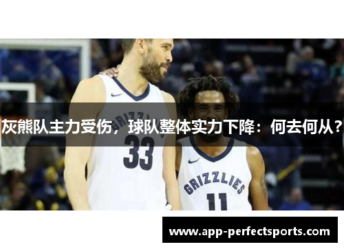 灰熊队主力受伤，球队整体实力下降：何去何从？